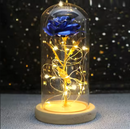 Rosa Cristal Bela e a Fera com Led + Cúpula de Vidro Verdadeiro